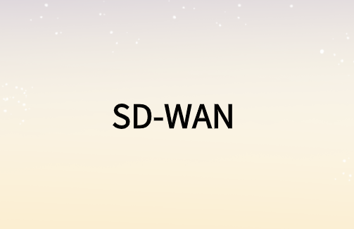 加速視頻業(yè)務(wù)的SD-WAN