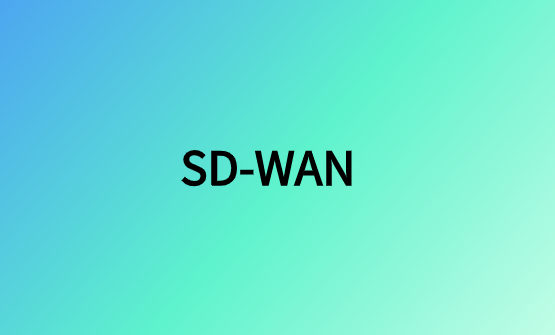 SD-WAN：企業(yè)級(jí)網(wǎng)絡(luò)組網(wǎng)解決方案